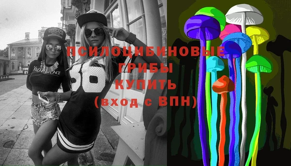 твердый Лиски