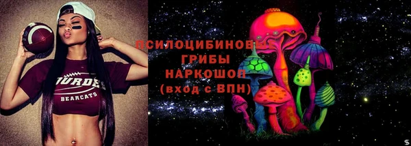 твердый Лиски
